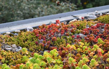 the cost of Iet Y Bwlch green roof installation